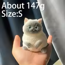 Cute squishy Cat (realistic)
