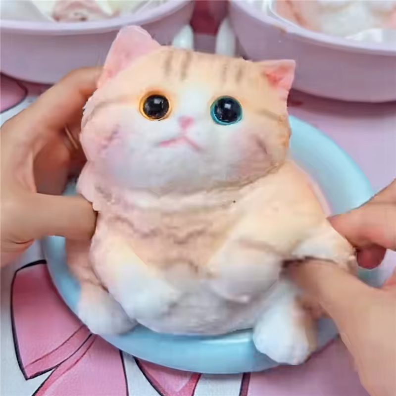 Cute squishy Cat (realistic)