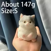 Cute squishy Cat (realistic)